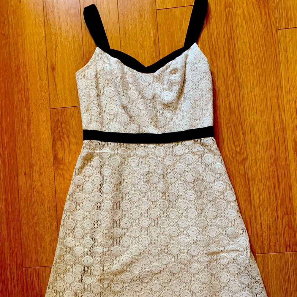 ANN TAYLOR LOFT A-Line Eyelet Lace Strap Dress Creme & Black Size 0P